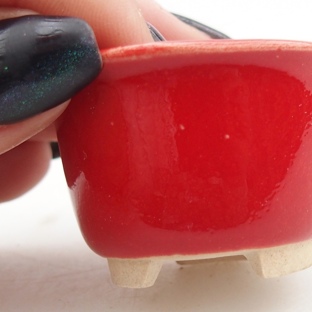 Mini bonsai 4 x 4 x 2,5 cm, colore rosso