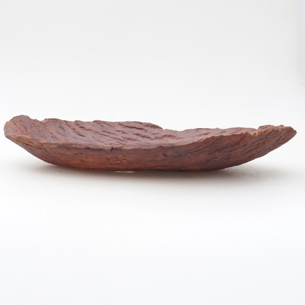 Conchiglia in ceramica 30 x 18,5 x 5 cm , colore marrone