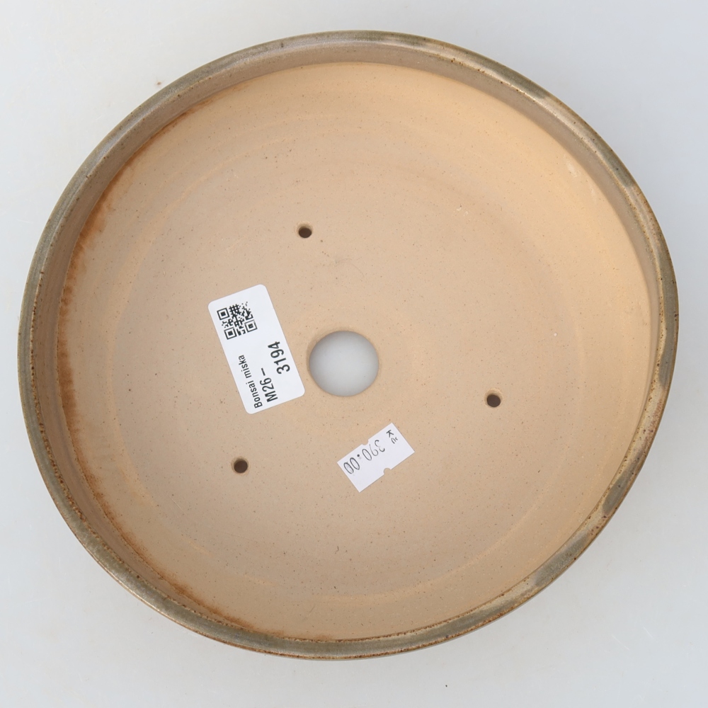 Vaso da bonsai in ceramica 19 x 19 x 5,5 cm, colore beige
