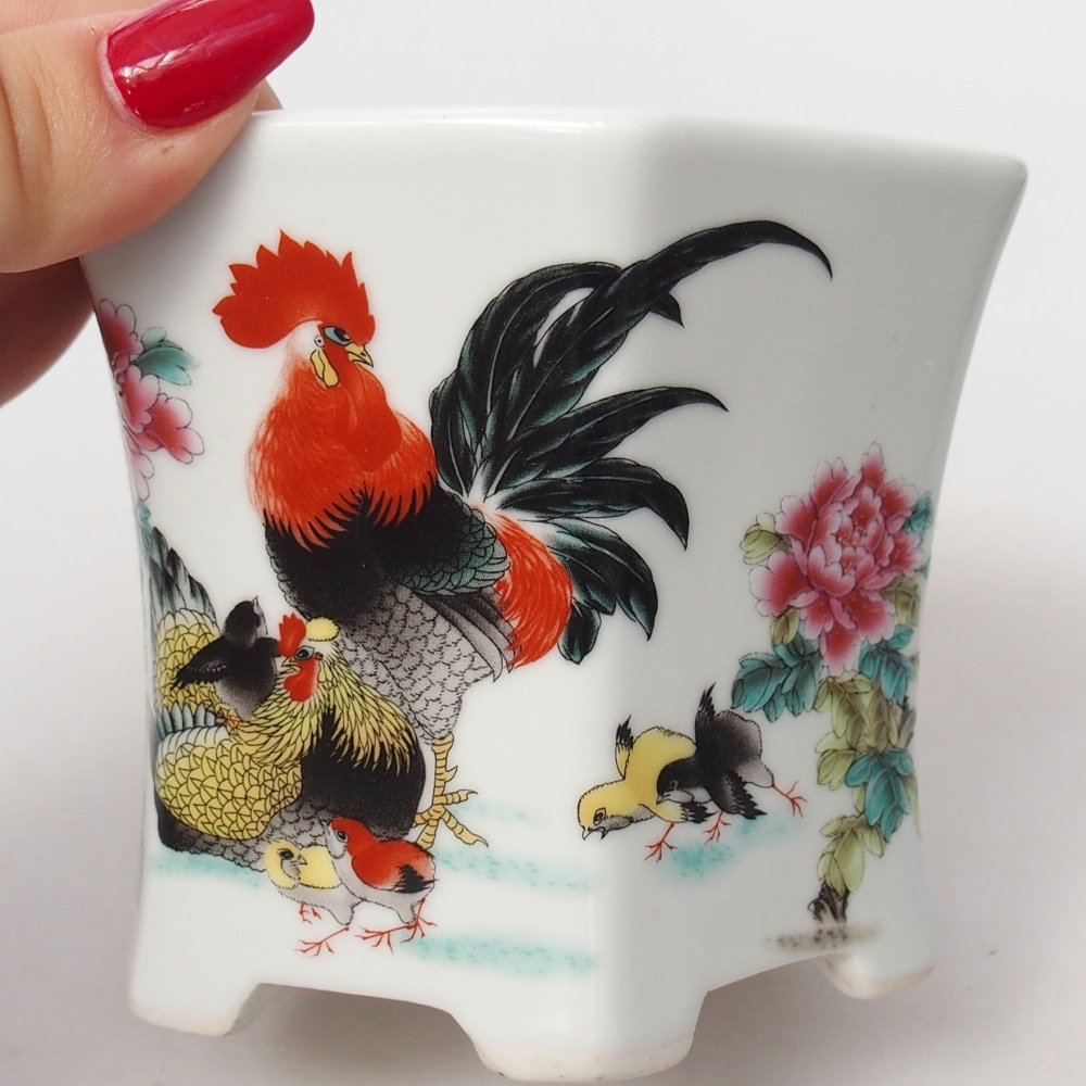 Ciotola per bonsai in ceramica 10,5 x 9,5 x 9 cm, colore bianco