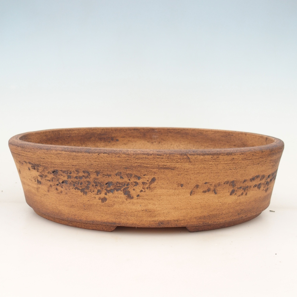 Ciotola per bonsai 32,5 x 25 x 8 cm , colore marrone