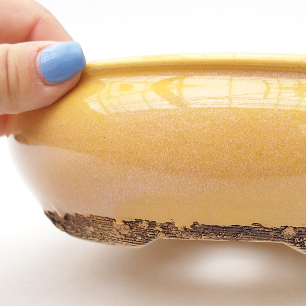 Ciotola per bonsai in ceramica 18,5 x 18,5 x 6 cm, giallo