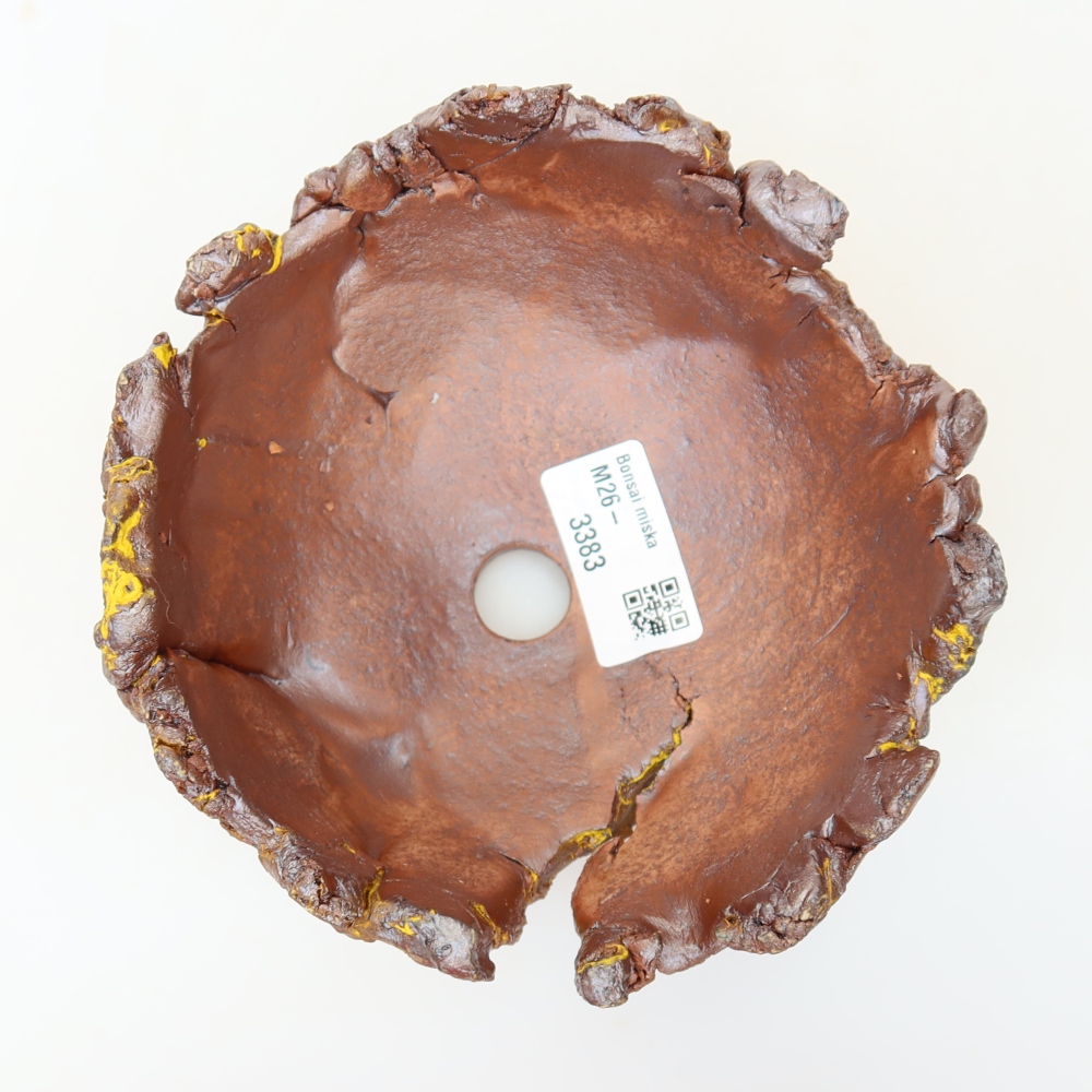 Conchiglia in ceramica 14 x 14 x 8,5 cm, colore giallo