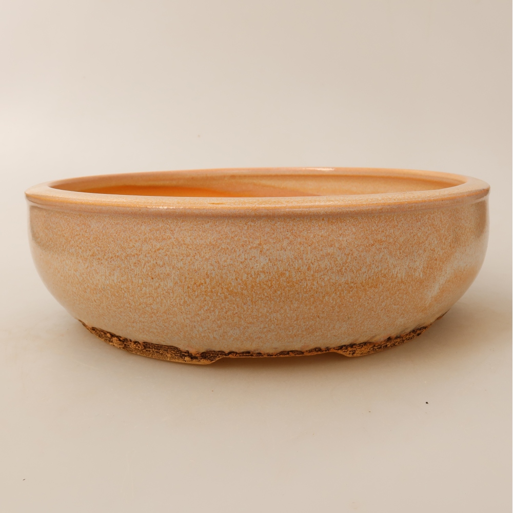 Ciotola bonsai in ceramica 24 x 24 x 7 cm, colore beige