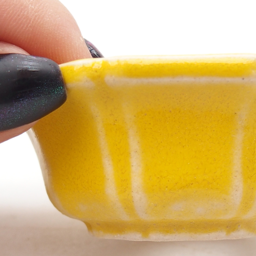 Mini bonsai 6 x 6 x 2,5 cm, giallo