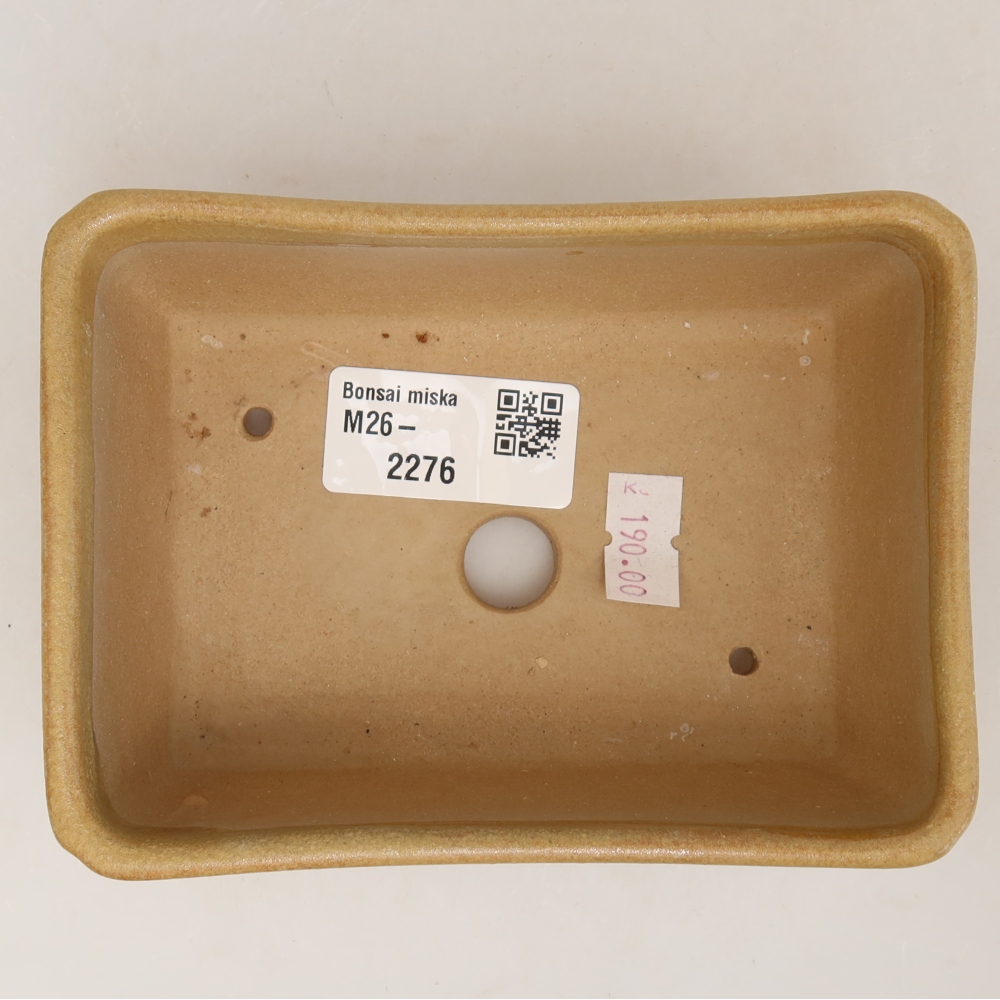 Vaso da bonsai in ceramica 13 x 9 x 5 cm, colore beige