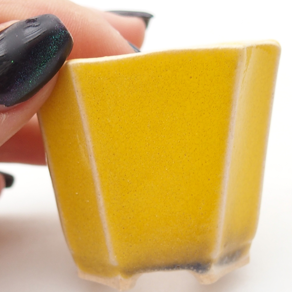 Mini bonsai 4,5 x 4,5 x 4 cm, giallo