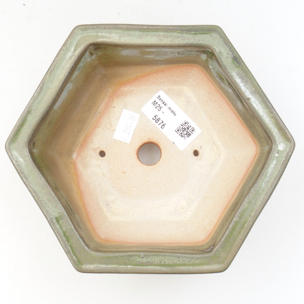 Ciotola bonsai in ceramica 22 x 17 x 5 cm, verde