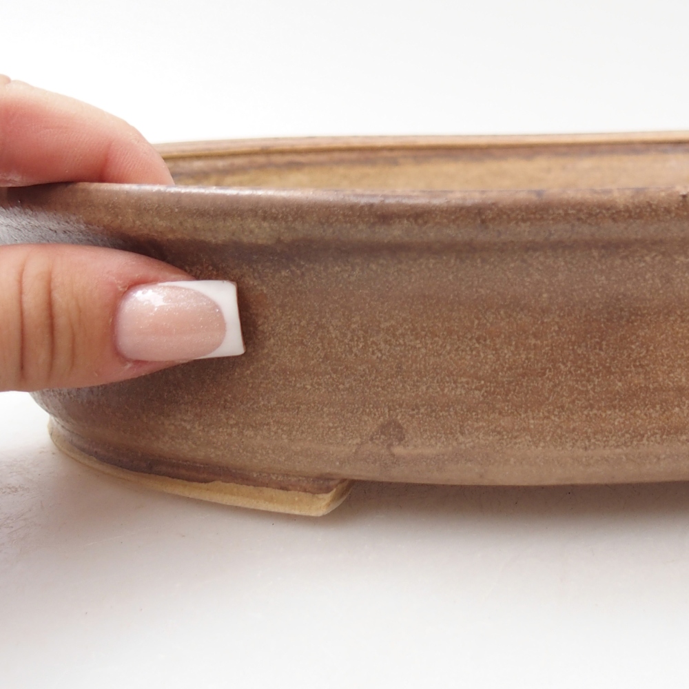 Ciotola bonsai in ceramica 24 x 21 x 5 cm, colore beige