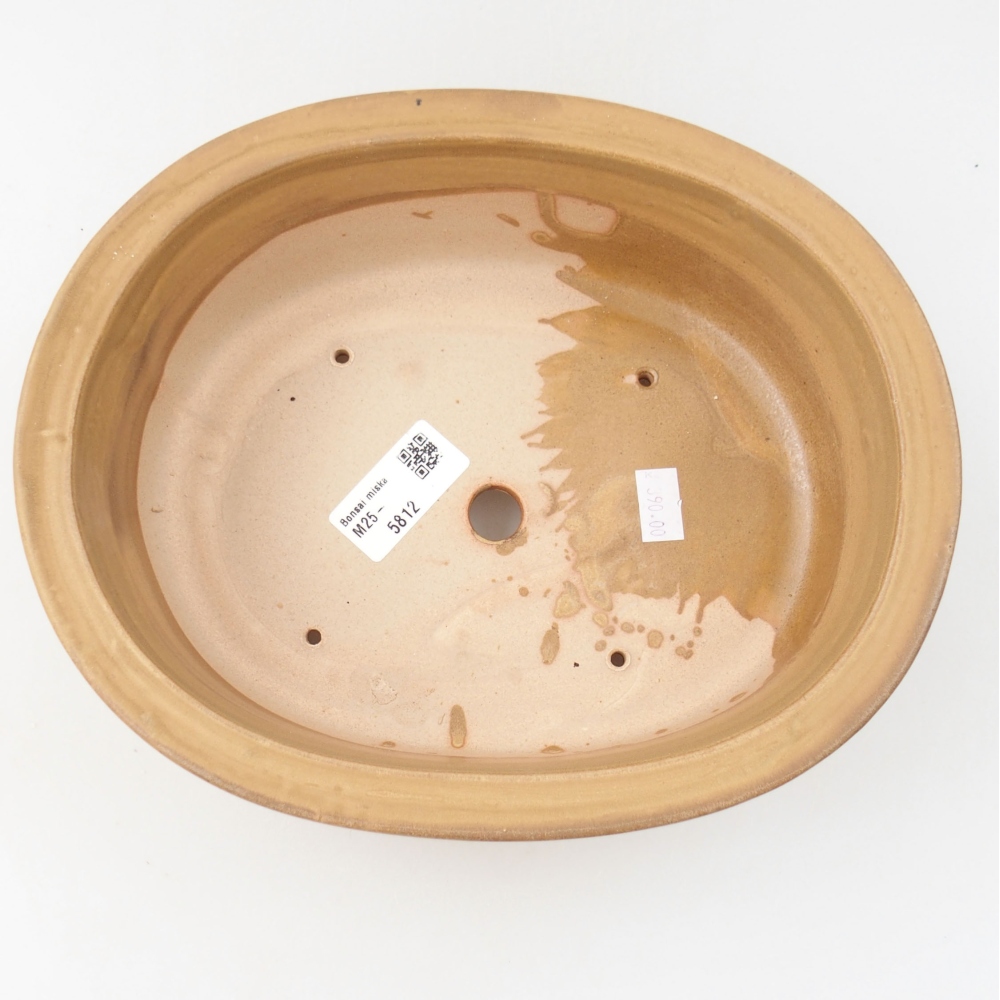 Ciotola bonsai in ceramica 23,5 x 19 x 8 cm, rosa