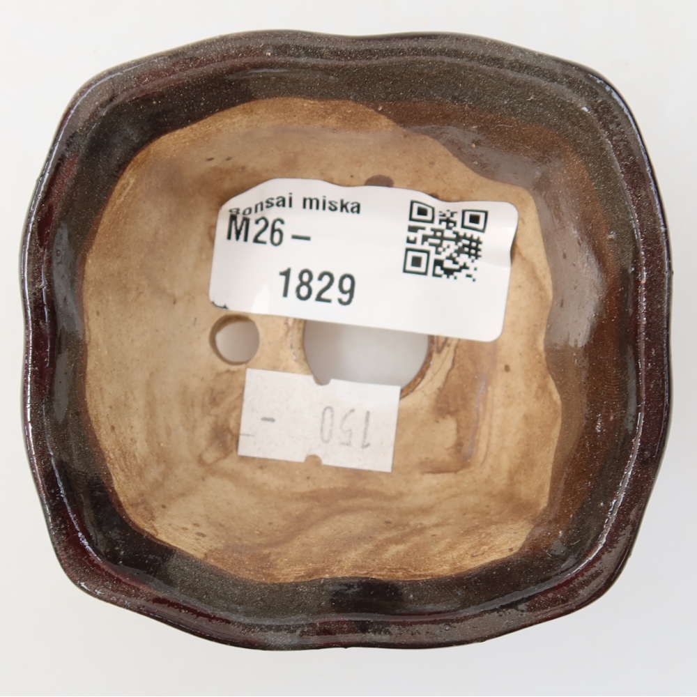 Ciotola per bonsai in ceramica 7,5 x 7 x 3,5 cm, marrone
