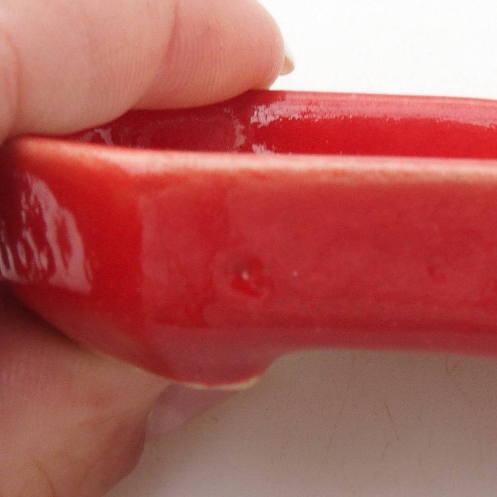 Mini bonsai 5,5 x 4 x 1,5 cm, colore rosso