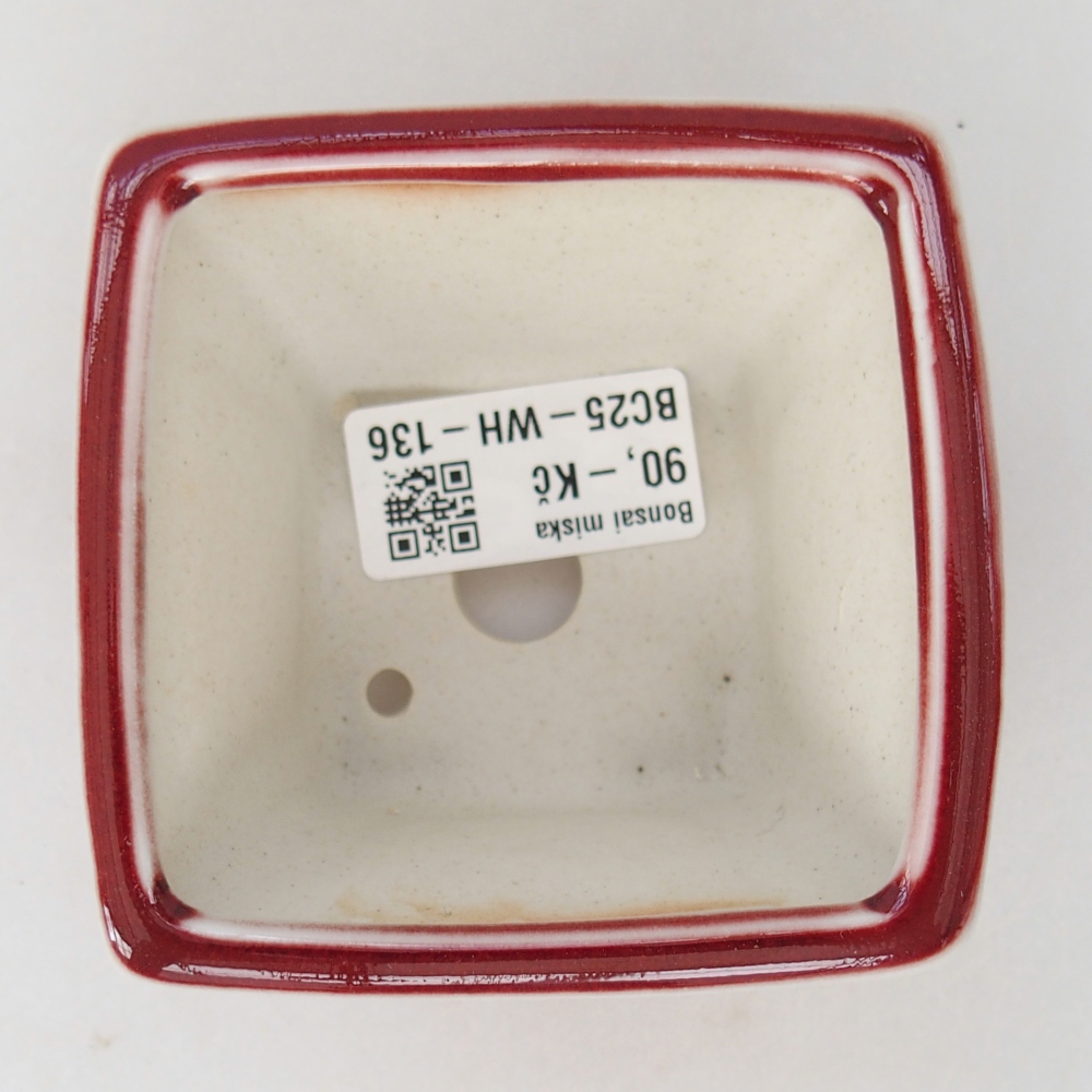 Mini bonsai 8,5 x 8,5 x 6 cm, colore rosso