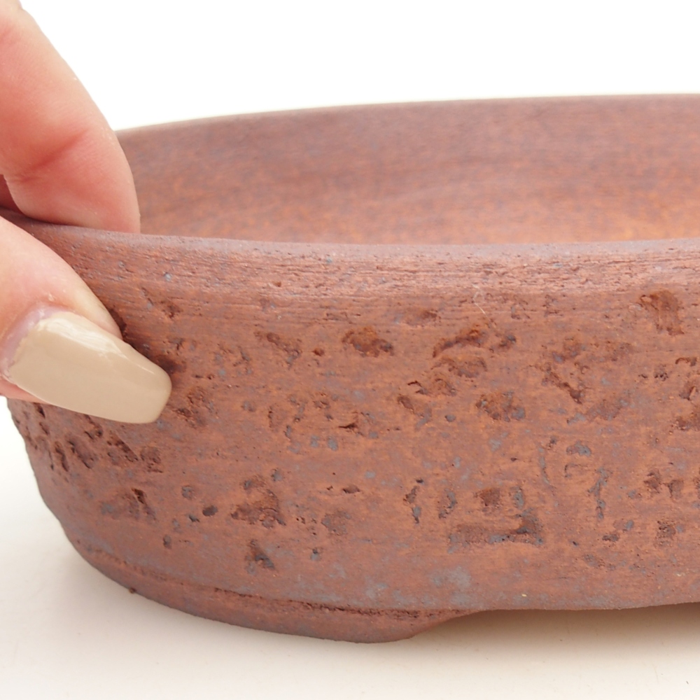 Ciotola per bonsai 19,5 x 16 x 6 cm , colore metallo