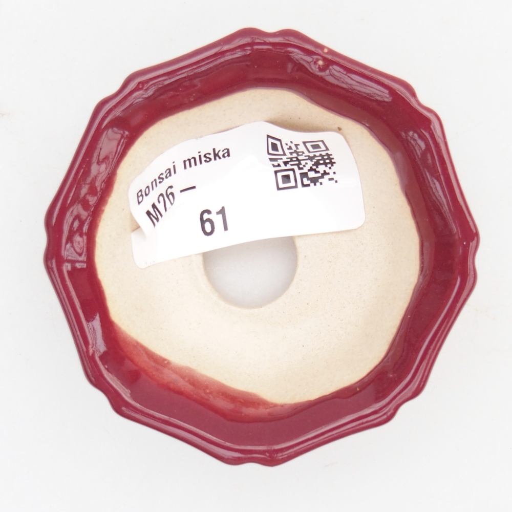 Mini bonsai 6 x 6 x 2,5 cm, bordeaux