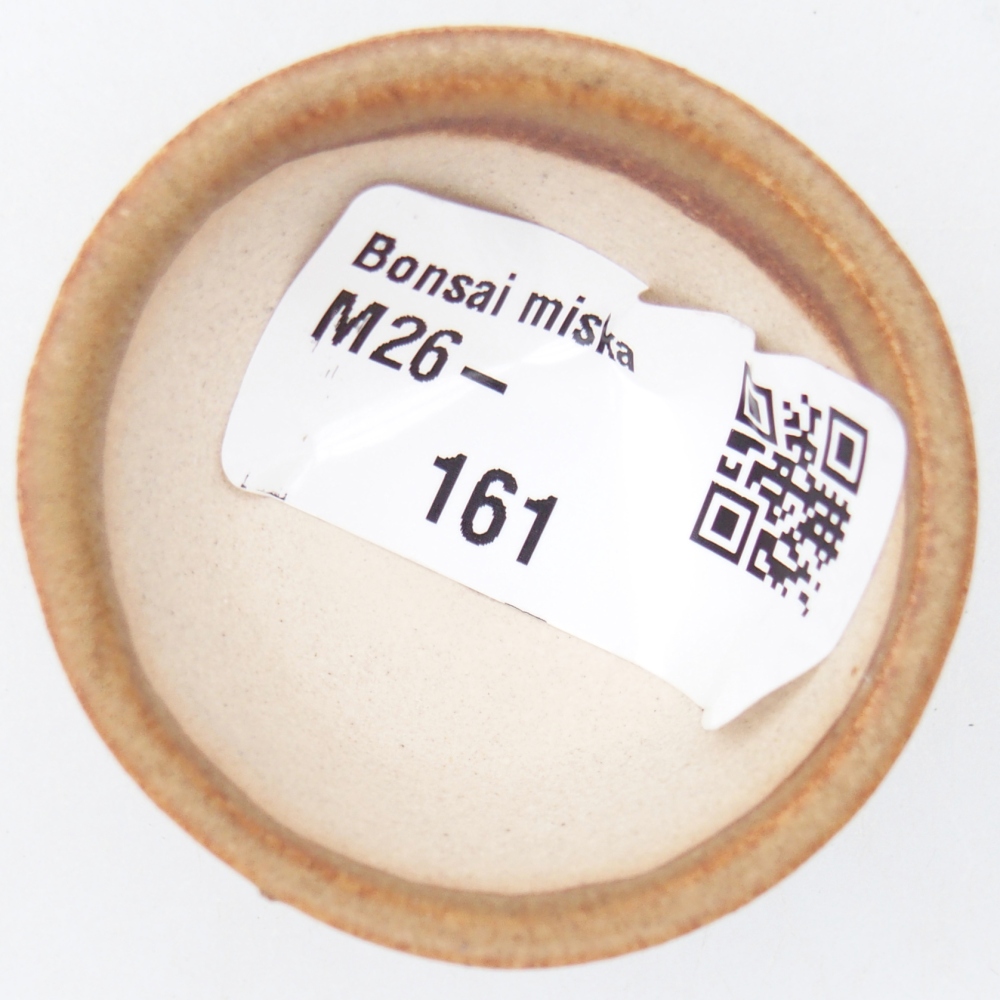 Mini bonsai 4,5 x 4,5 x 2,5 cm, marrone