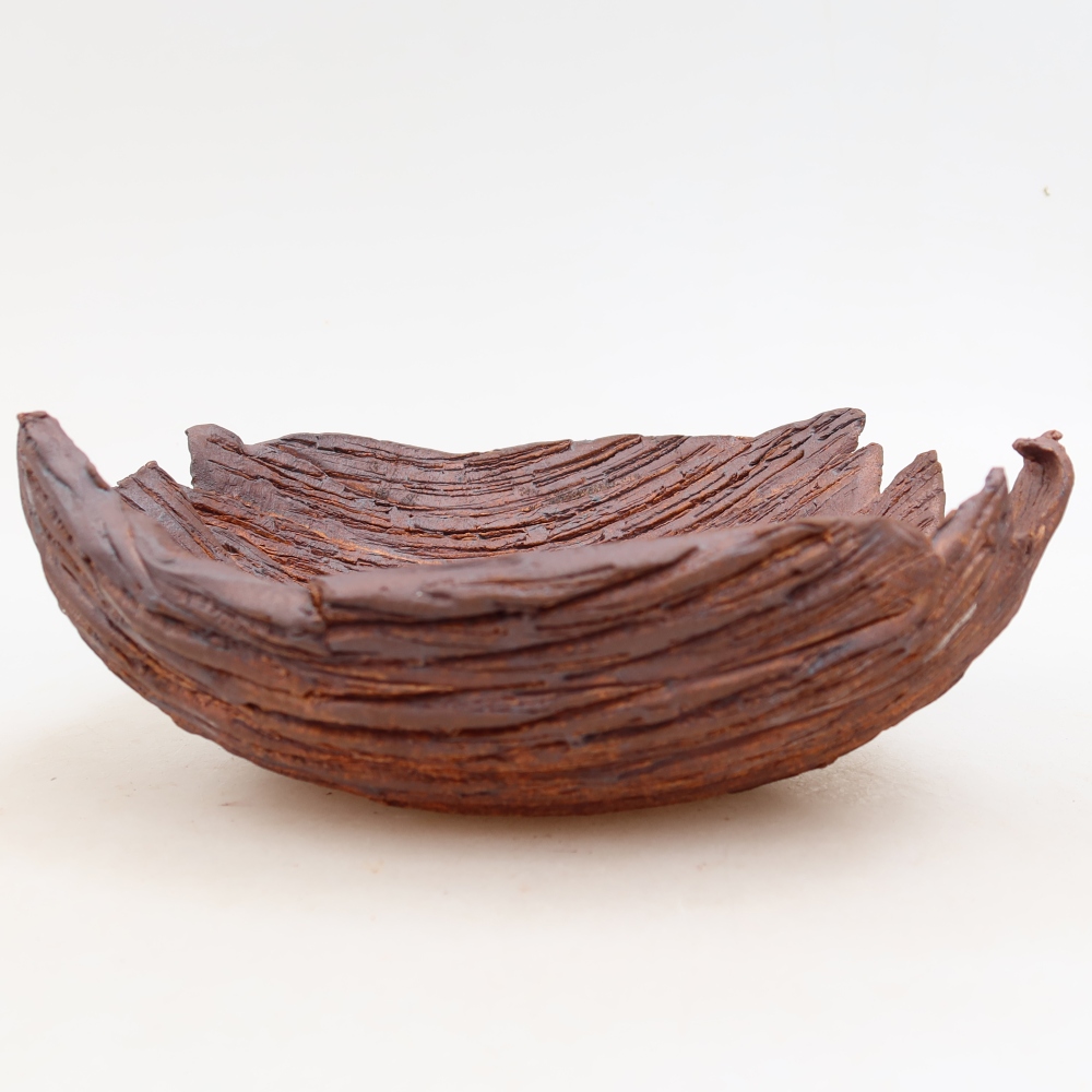 Conchiglia in ceramica 20 x 17,5 x 7 cm , colore marrone
