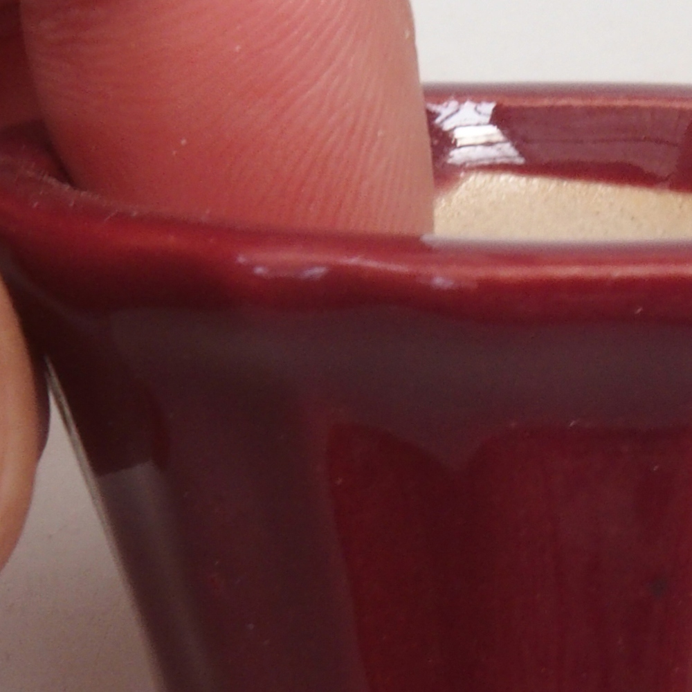 Mini bonsai 5 x 5 x 2,5 cm, colore bordeaux