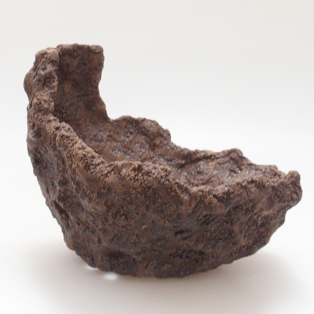 Conchiglia in ceramica 13 x 11 x 12 cm , colore marrone