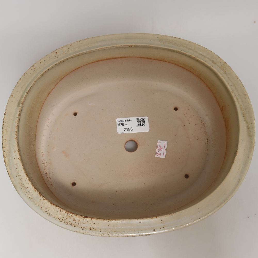 Ciotola bonsai in ceramica 26 x 22 x 8 cm, colore beige