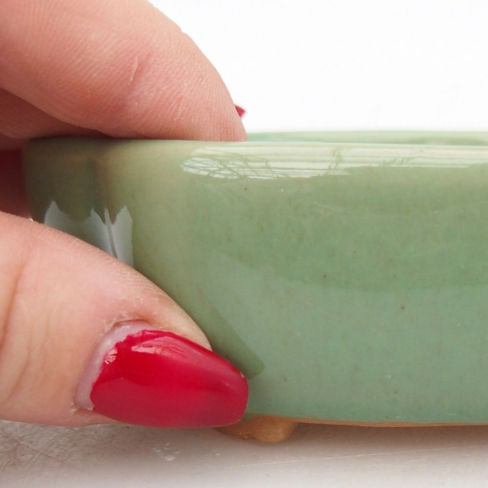 Ciotola per bonsai in ceramica 125 x 10 x 3 cm, marrone