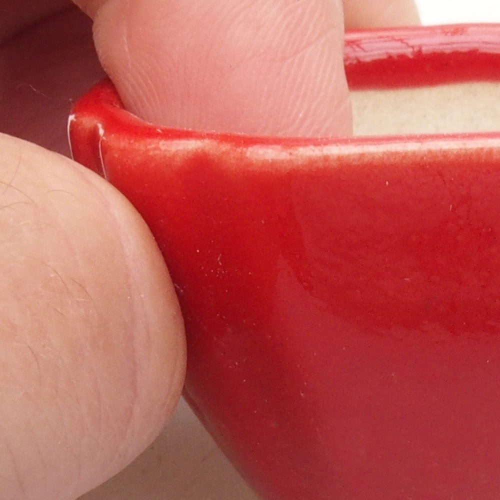 Mini bonsai 4 x 4 x 2,5 cm, colore rosso