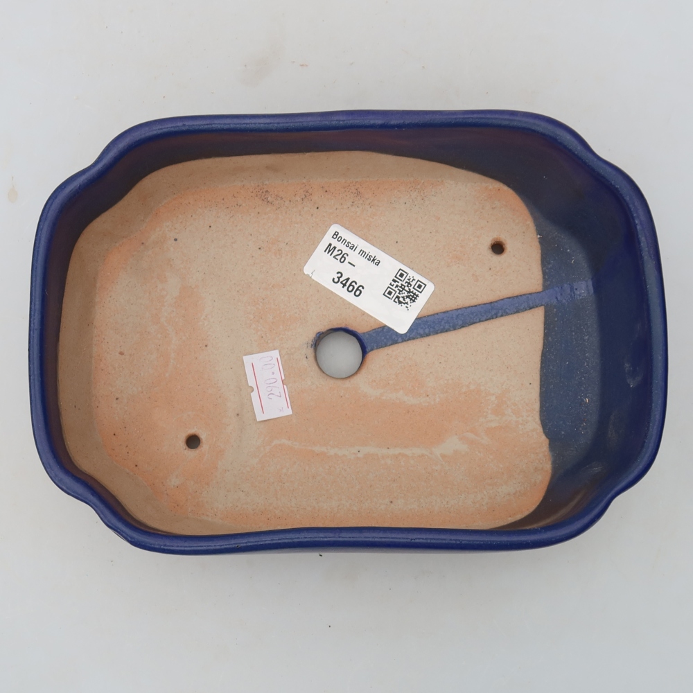Vaso da bonsai in ceramica 18,5 x 13 x 5 cm, colore blu