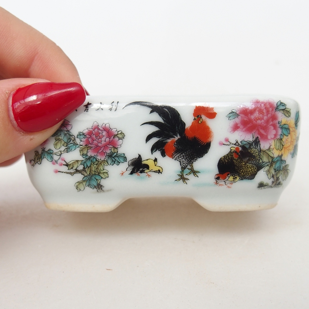 Mini bonsai 8 x 6 x 3 cm, bianco