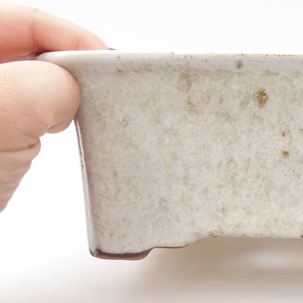 Ciotola bonsai in ceramica 22 x 17 x 5 cm, verde