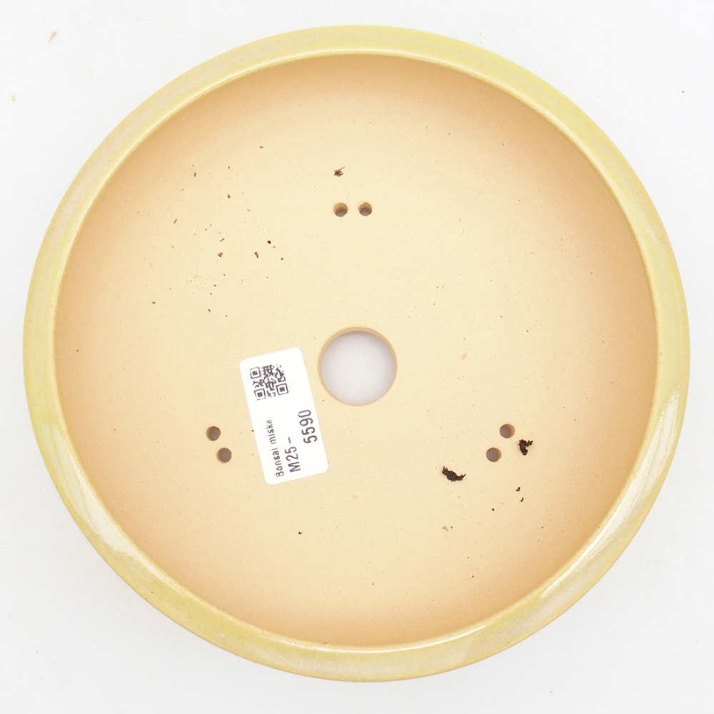 Ciotola per bonsai in ceramica 18 x 18 x 6 cm, verde