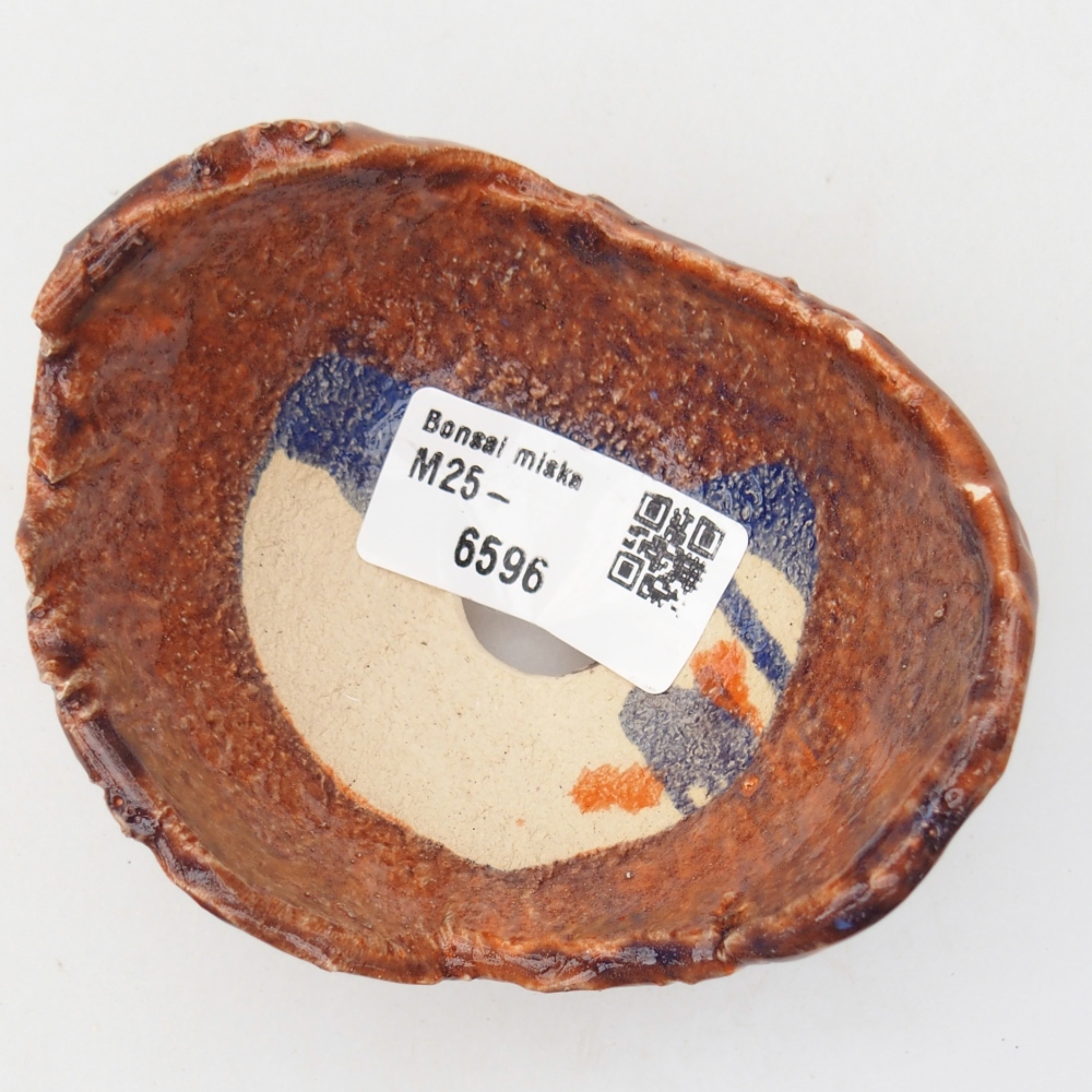 Guscio in ceramica 8 x 9,5 x 5 cm , colore arancione