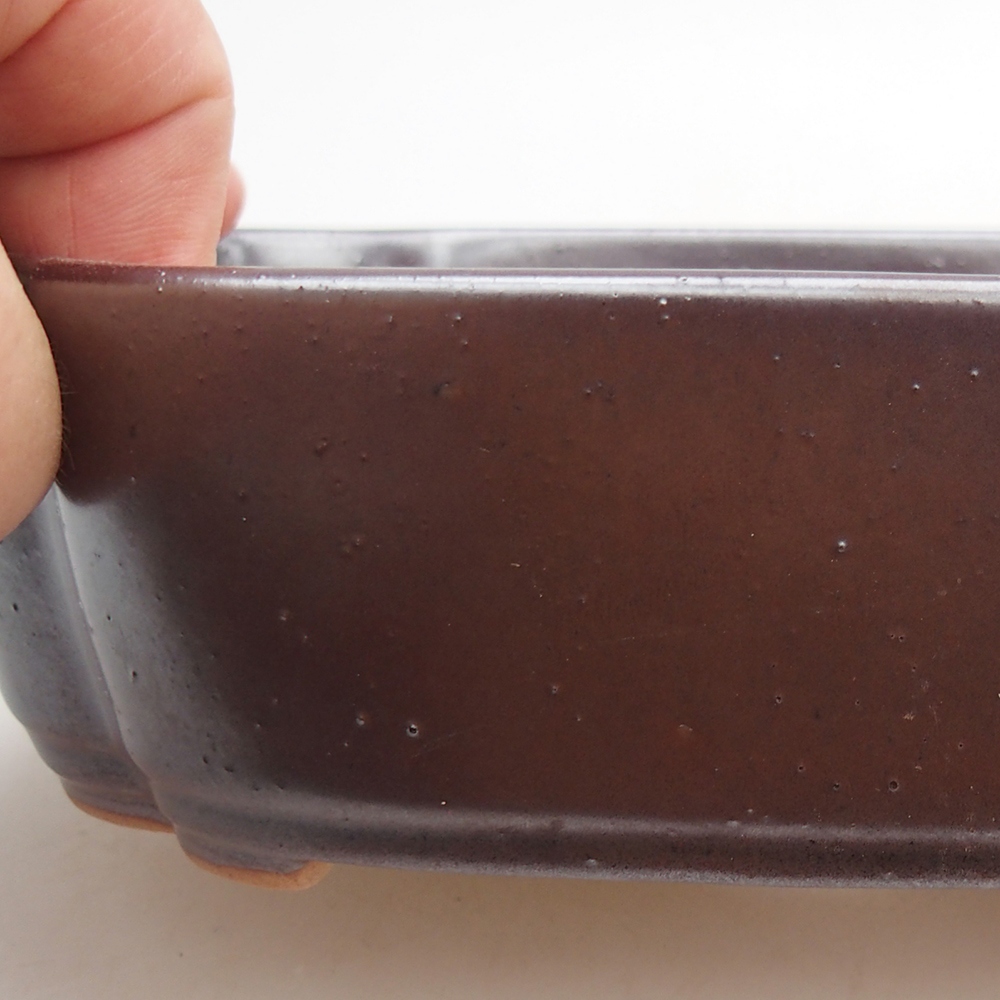 Ciotola per bonsai in ceramica 18 x 13 x 5 cm, marrone