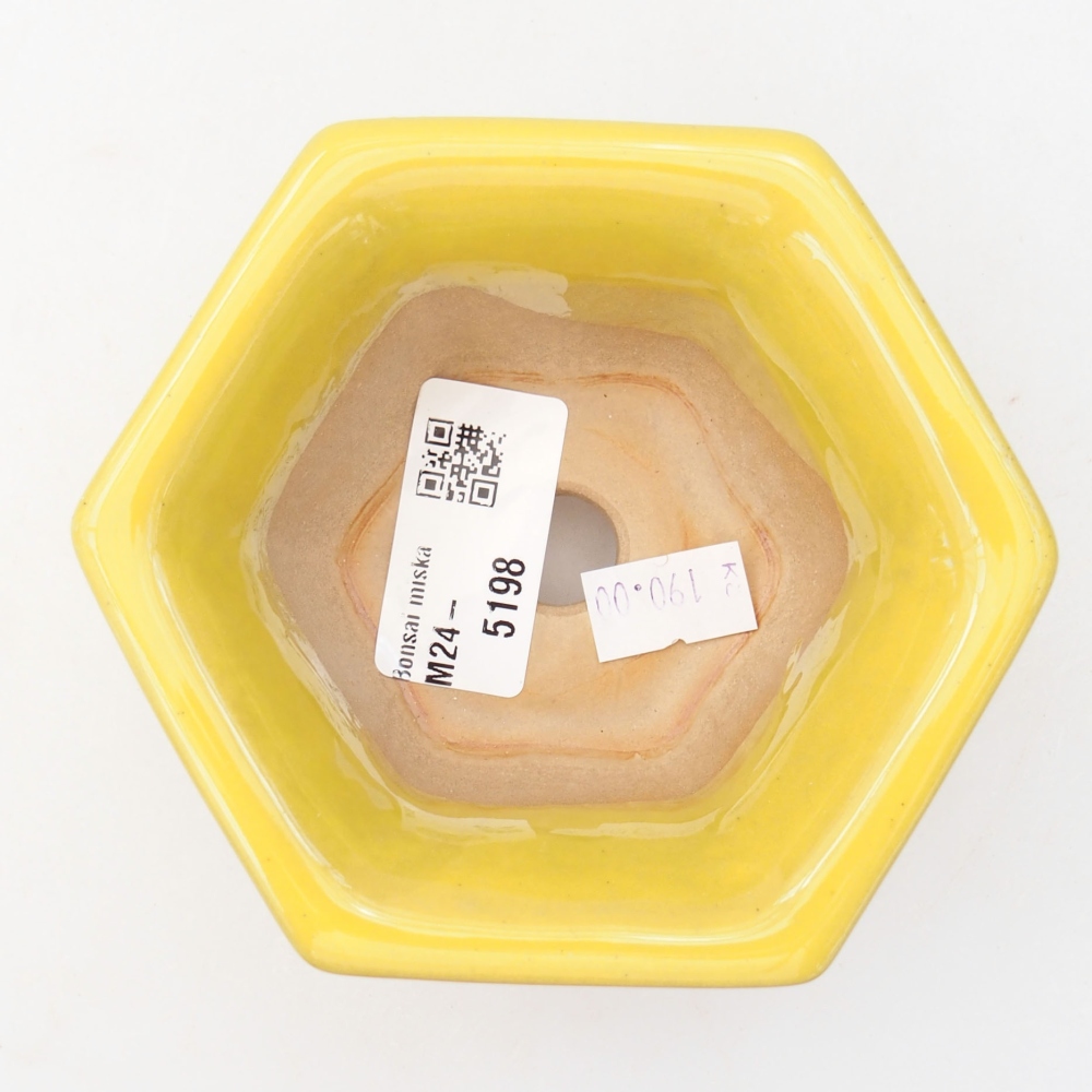 Ciotola bonsai in ceramica 10,5 x 9,5 x 5,5 cm, giallo
