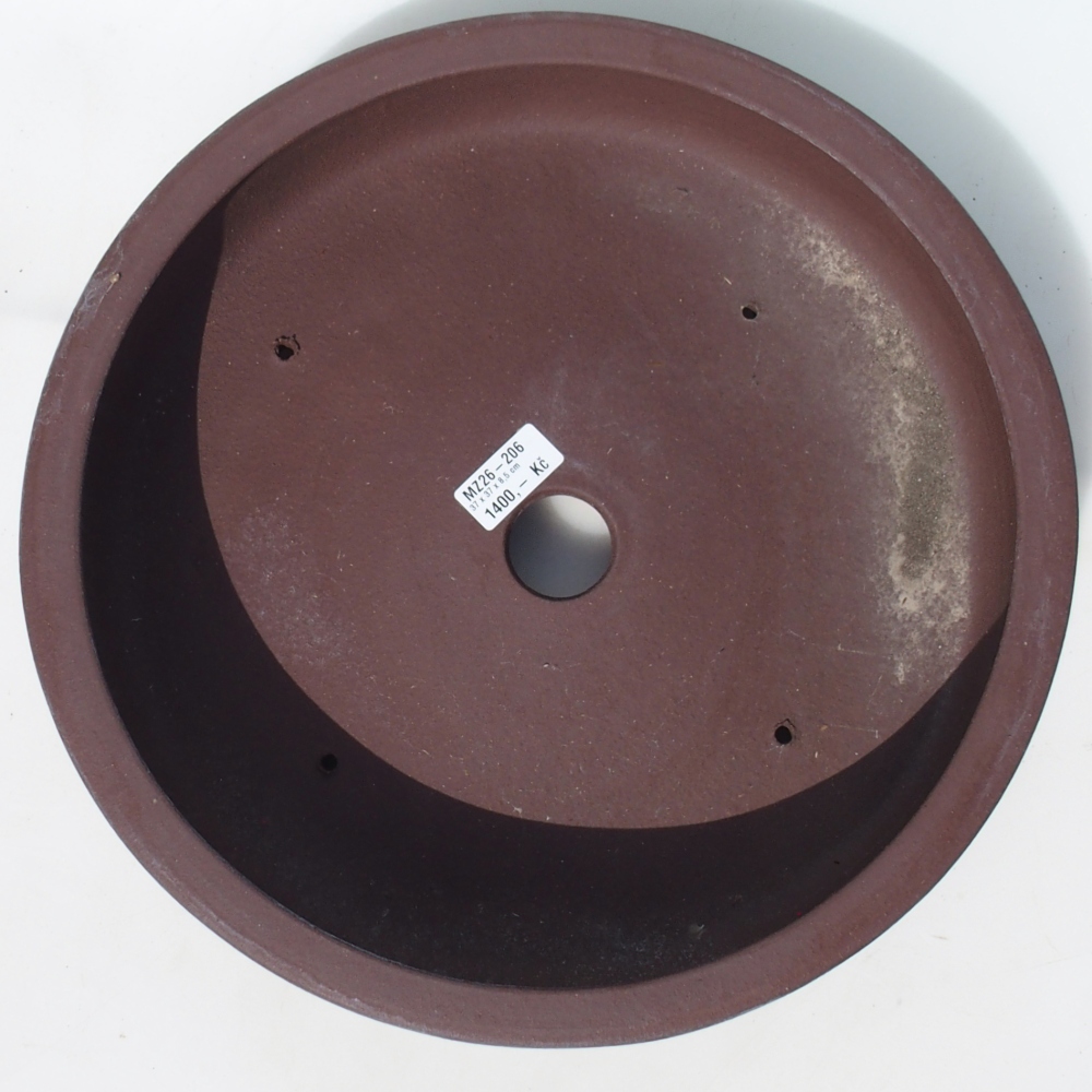 Ciotola per bonsai 37 x 37 x 8,5 cm betulla marrone