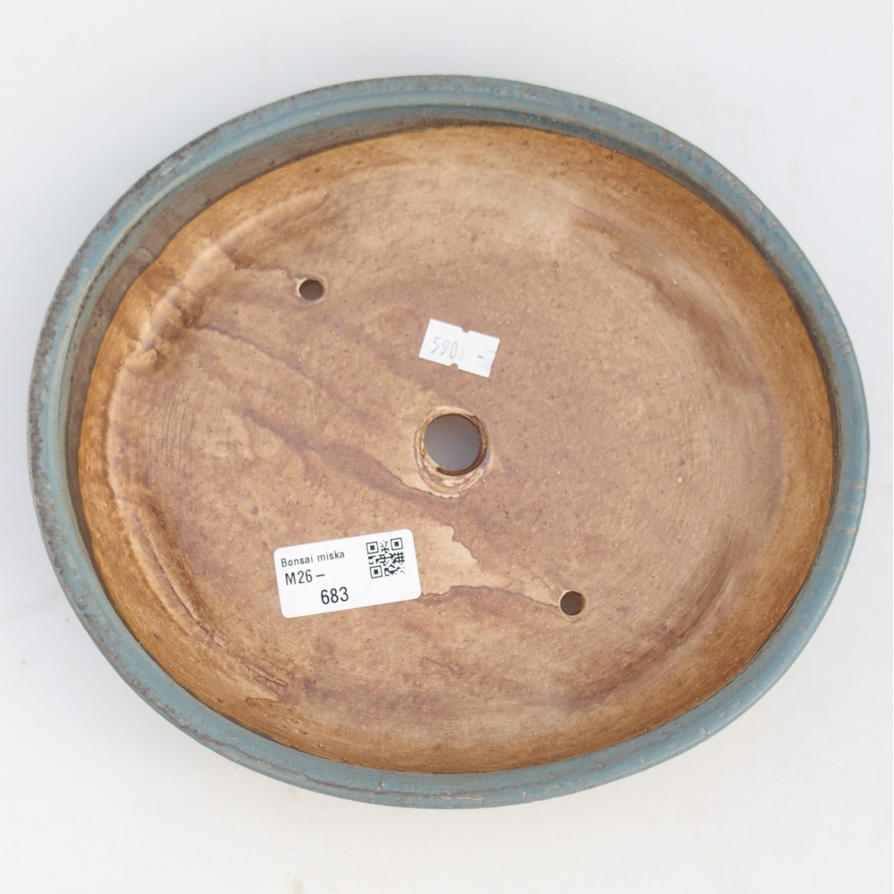 Ciotola bonsai in ceramica 23 x 20 x 4,5 cm, colore blu