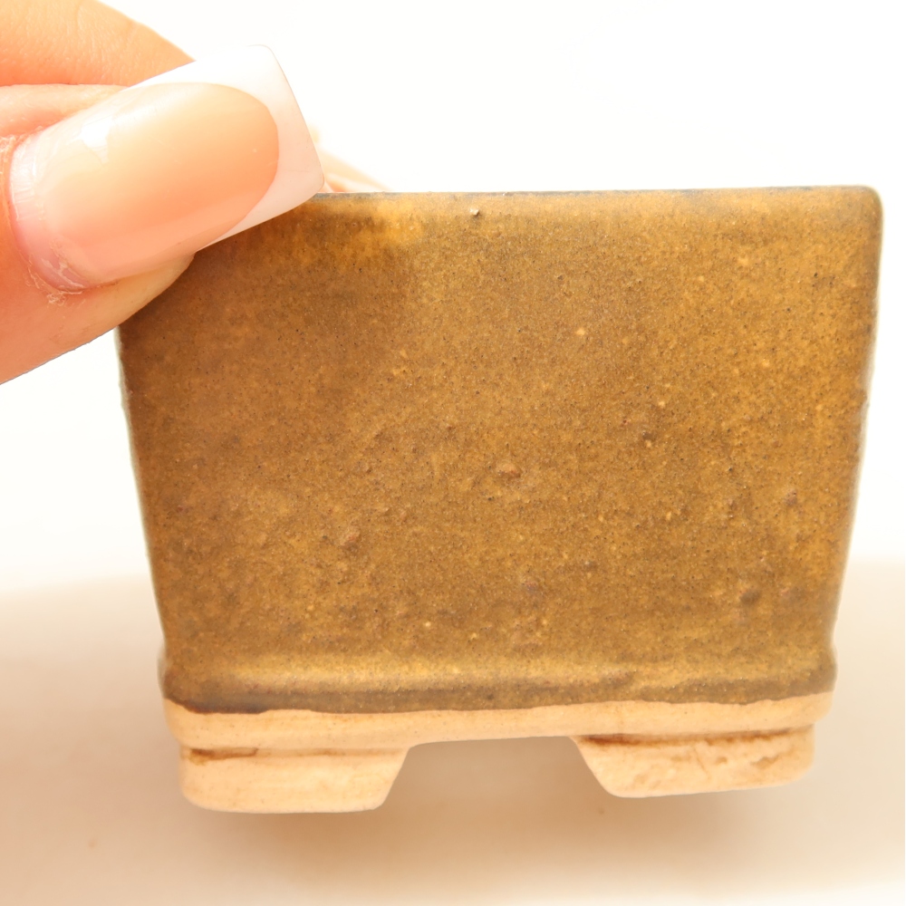 Vaso da bonsai in ceramica 6 x 6 x 5 cm, colore blu