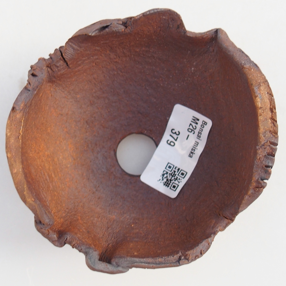 Conchiglia in ceramica 10 x 9,5 x 7 cm , colore marrone