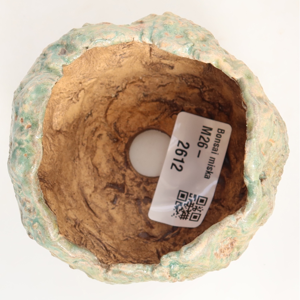 Guscio in ceramica  7,5 x 7 x 6,5 cm, colore verde