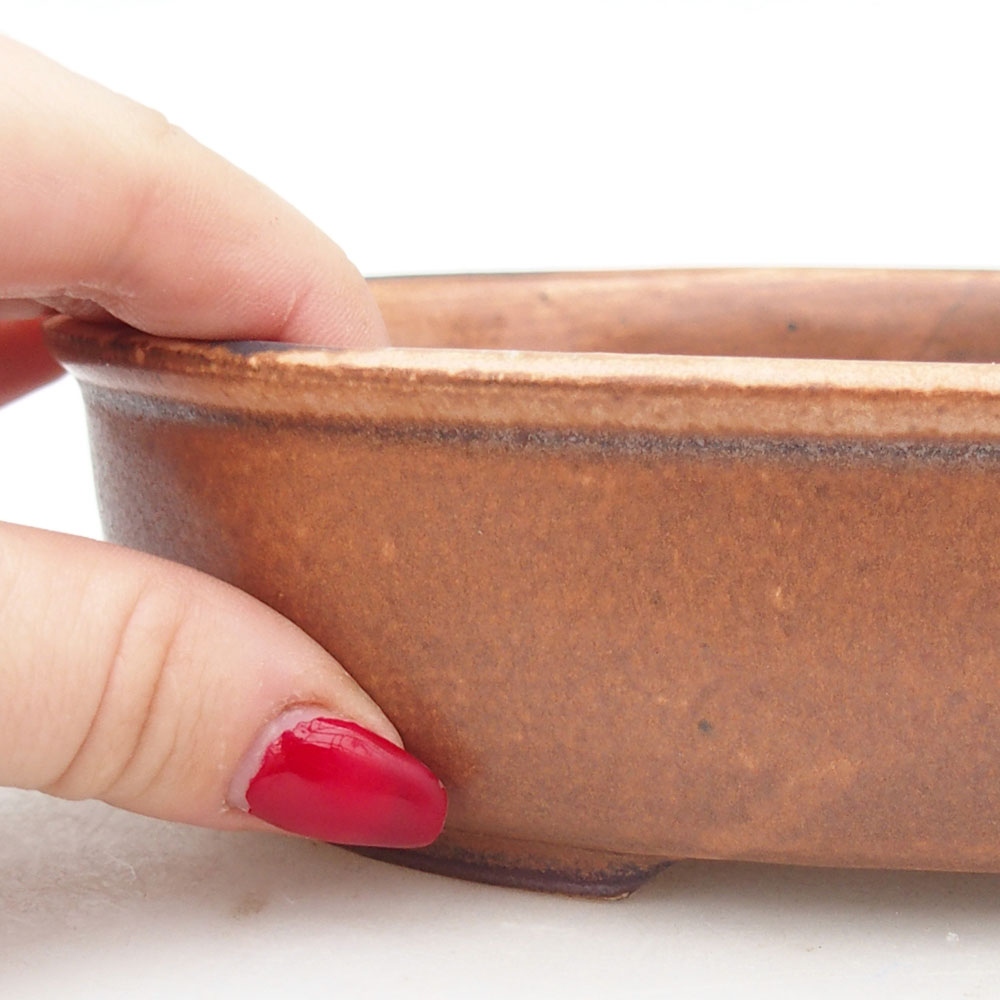 Ciotola bonsai in ceramica 19 x 14 x 5 cm, marrone