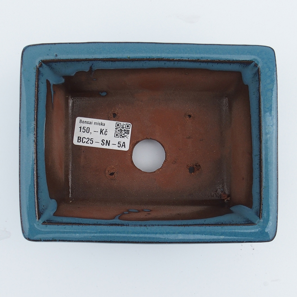 Ciotola 16 x 12,5 x 6,5 cm blu