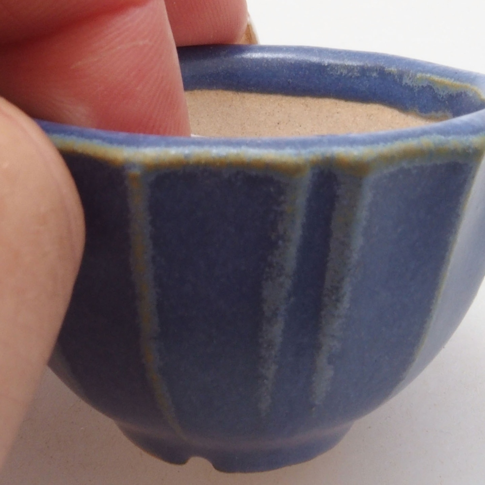 Ciotola per mini bonsai 5 x 5 x 3 cm, blu