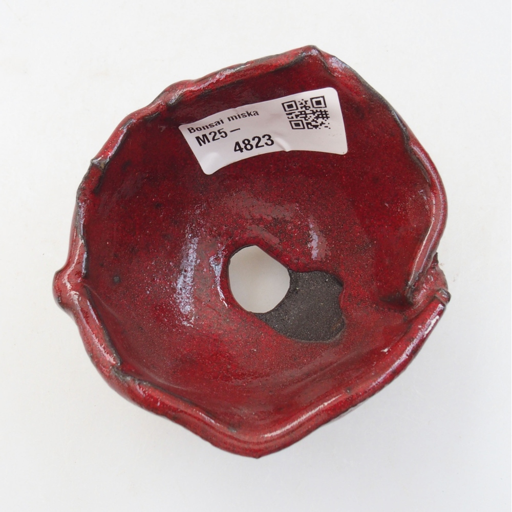 Conchiglia in ceramica 8 x 8 x 6 cm , colore rosso