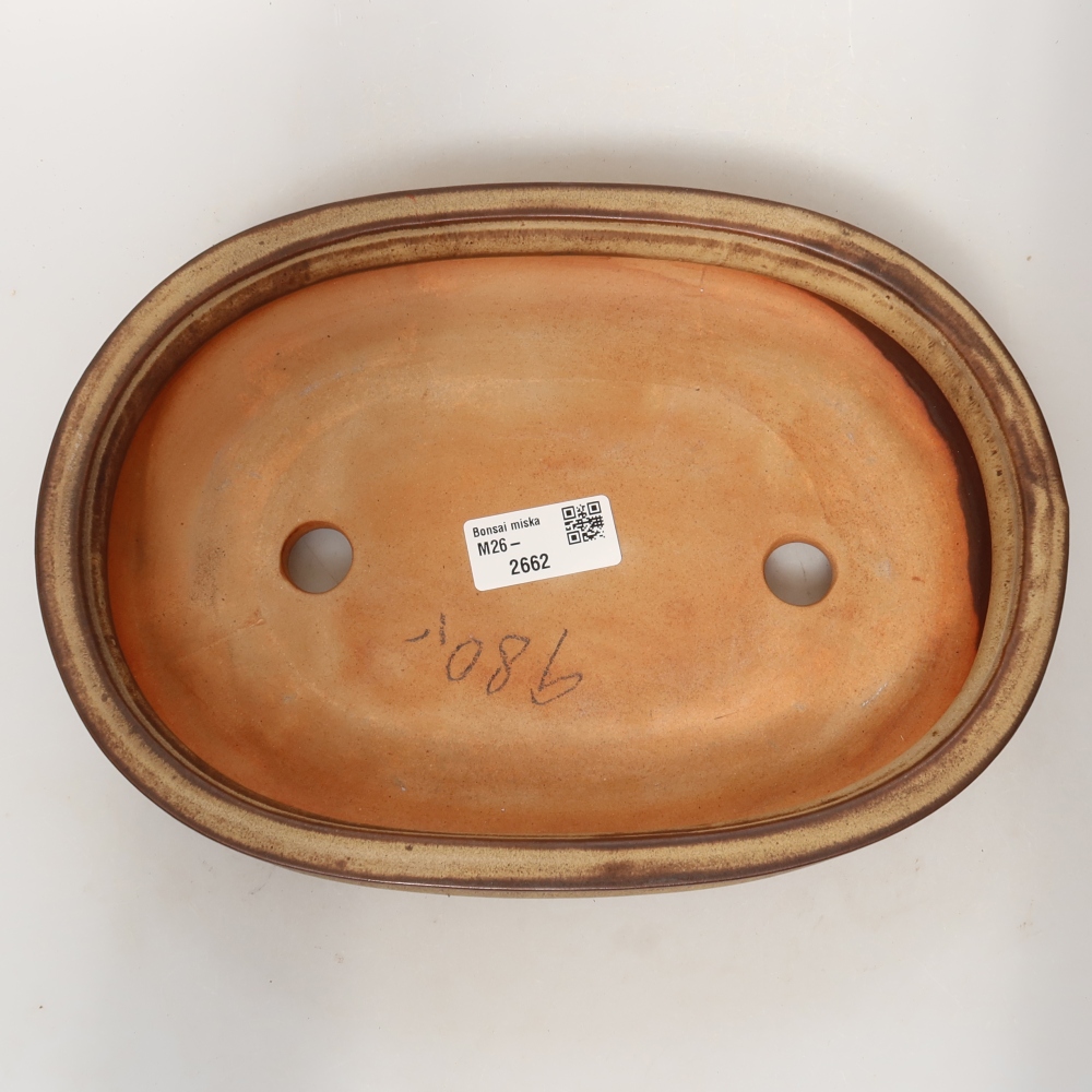 Conchiglia in ceramica  26 x 18,5 x 5 cm, colore marrone
