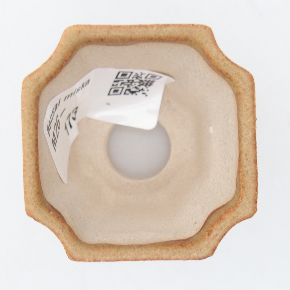 Ciotola per mini bonsai 4,5 x 4,5 x 4 cm, marrone