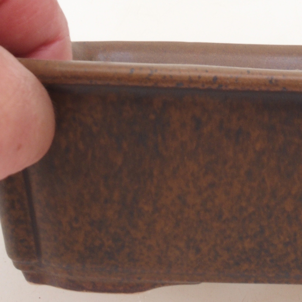 Ciotola per bonsai H50 - 17 x 12,5 x 5,5 cm - marrone