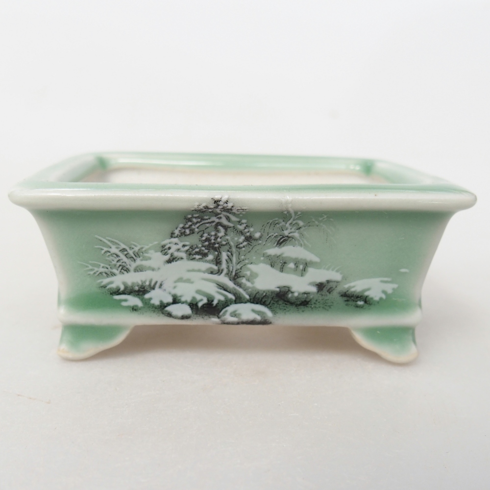 Mini bonsai 8 x 6 x 3 cm, verde