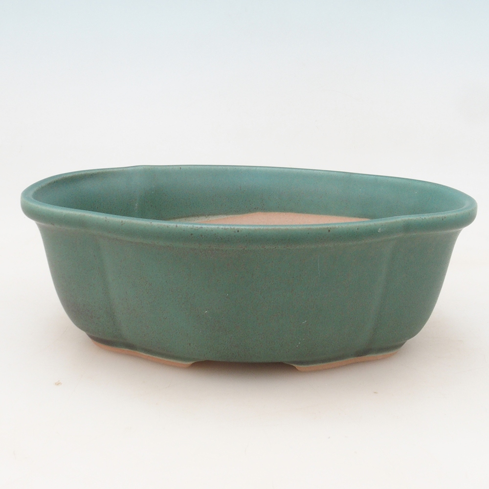 Ciotola per bonsai H75 - 19 x 14 x 6,5 cm - verde