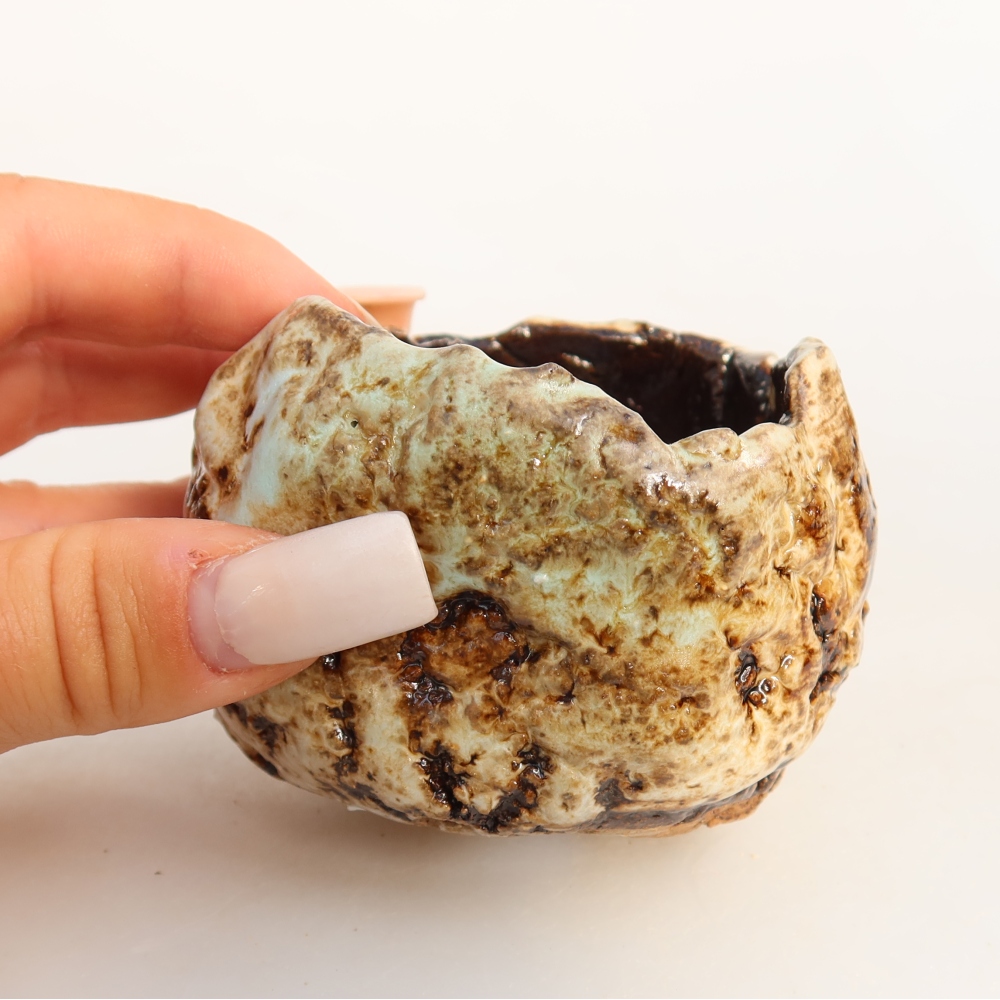 Guscio in ceramica  7,5 x 7 x 5,5 cm, colore bianco-marrone