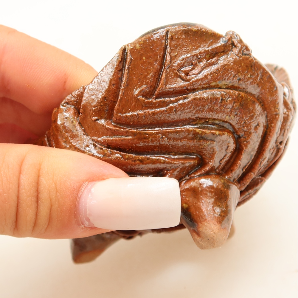 Conchiglia in ceramica 8 x 8 x 5 cm , colore marrone