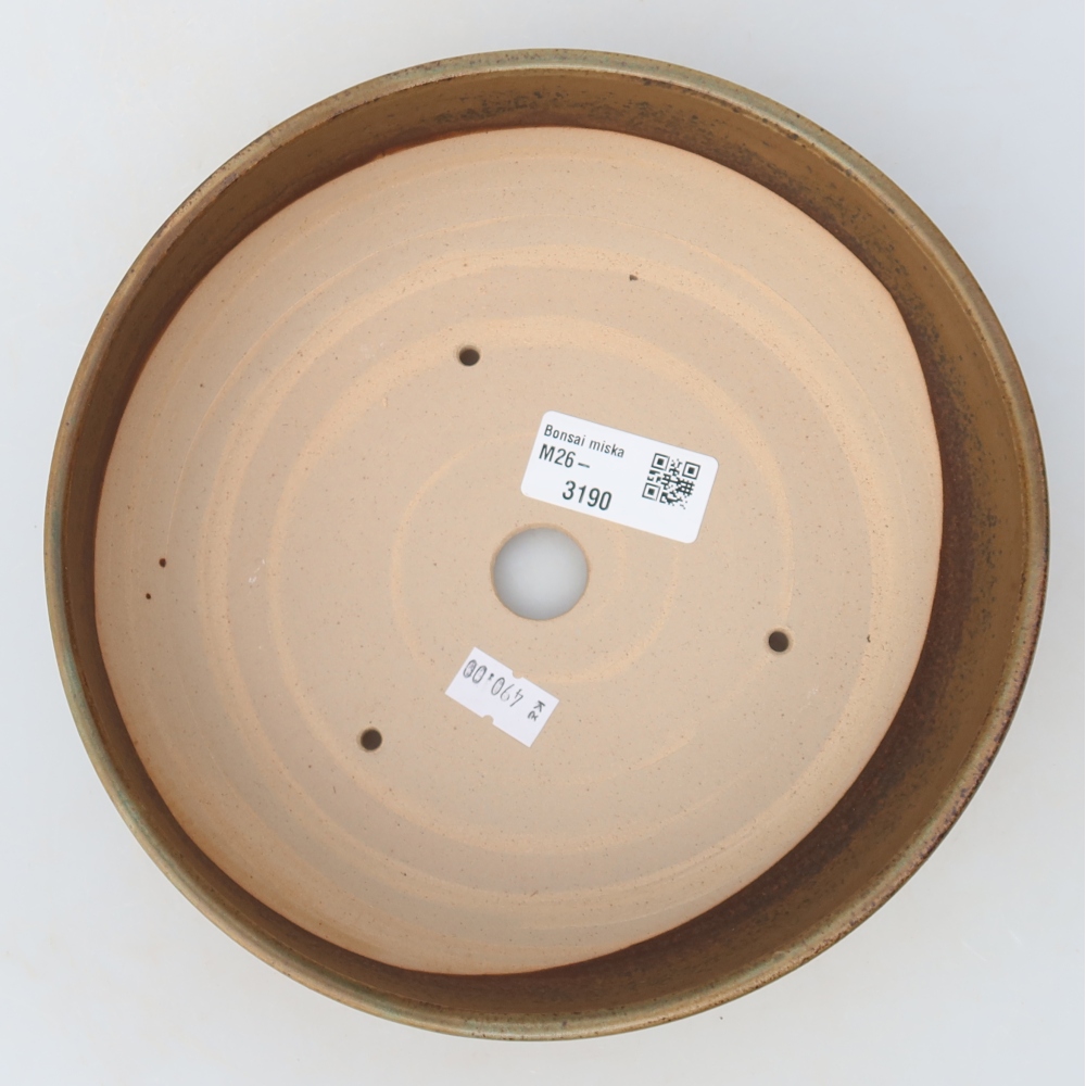 Vaso da bonsai in ceramica 19,5 x 19,5 x 6,5 cm, colore marrone